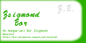 zsigmond bor business card